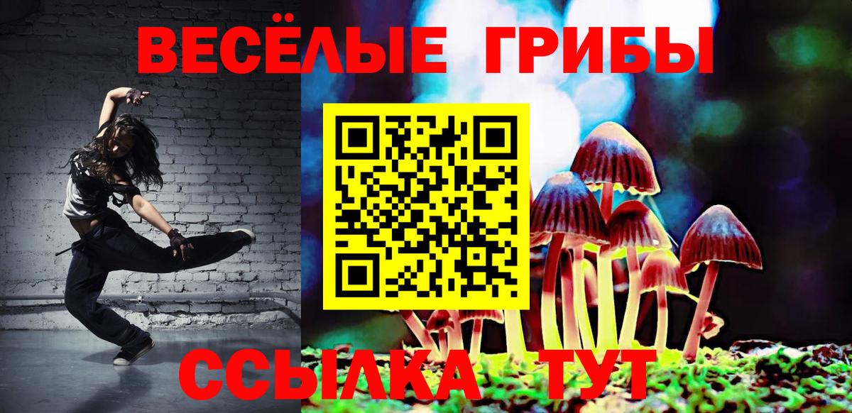 Псилоцибиновые грибы прущие грибы Волжский