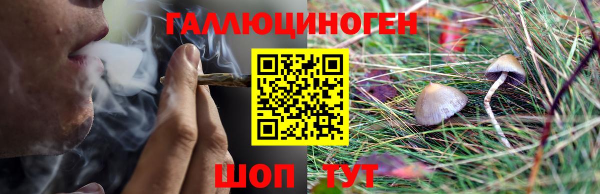 Псилоцибиновые грибы Psilocybine cubensis  Псилоцибиновые грибы мухоморы  Волжский  Вход с VPN 